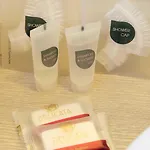 奥里宗酒店 3* 利多迪迪耶索洛